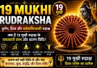 19 मुखी रुद्राक्ष के लाभ, महत्व और धारण विधि | Mahadevji.in