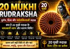 20 मुखी रुद्राक्ष के लाभ, महत्व और धारण विधि | Mahadevji.in