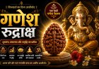 गणेश रुद्राक्ष के लाभ, महत्व और धारण विधि | Mahadevji.in