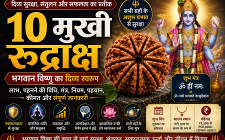 दस मुखी रुद्राक्ष (Das Mukhi Rudraksha): सम्पूर्ण जानकारी, लाभ, पहचान, धारण विधि, नियम, सावधानियां और आध्यात्मिक महत्व