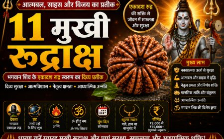 ग्यारह मुखी रुद्राक्ष (Gyarah Mukhi Rudraksha): सम्पूर्ण जानकारी, लाभ, पहचान, धारण विधि, नियम, सावधानियां और आध्यात्मिक महत्व