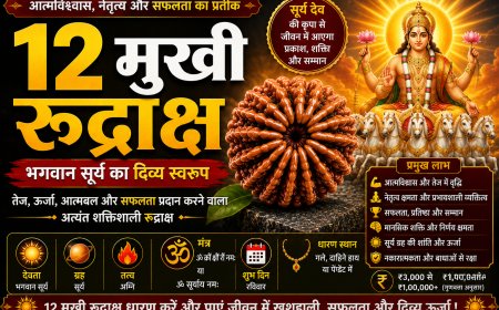 बारह मुखी रुद्राक्ष (Barah Mukhi Rudraksha): सम्पूर्ण जानकारी, लाभ, पहचान, धारण विधि, नियम, सावधानियां और आध्यात्मिक महत्व
