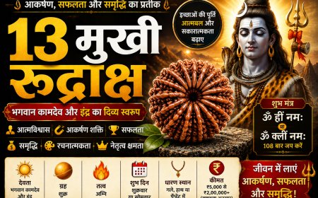 तेरह मुखी रुद्राक्ष (Terah Mukhi Rudraksha): सम्पूर्ण जानकारी, लाभ, पहचान, धारण विधि, नियम, सावधानियां और आध्यात्मिक महत्व
