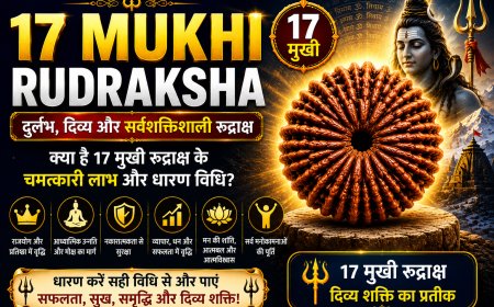 17 मुखी रुद्राक्ष के लाभ, महत्व और धारण विधि | Mahadevji.in