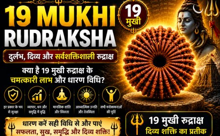 19 मुखी रुद्राक्ष के लाभ, महत्व और धारण विधि | Mahadevji.in