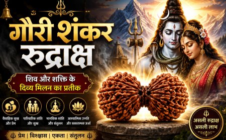 गौरी शंकर रुद्राक्ष के लाभ, महत्व और धारण विधि | Mahadevji.in