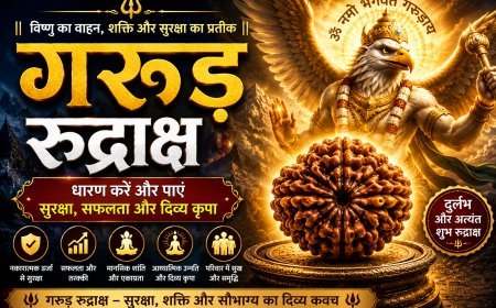 गरुड़ रुद्राक्ष के लाभ, महत्व और धारण विधि | Mahadevji.in