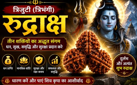 त्रिजुटी (त्रिभंगी) रुद्राक्ष के लाभ, महत्व और धारण विधि | Mahadevji.in