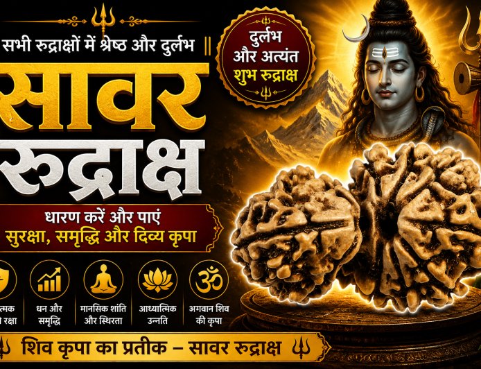 सावर रुद्राक्ष के लाभ, महत्व और धारण विधि | Mahadevji.in
