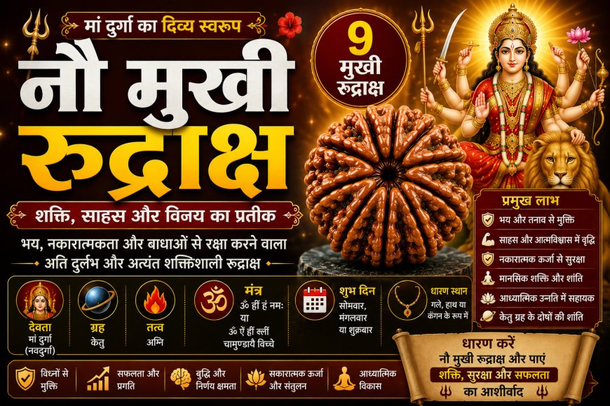 नौ मुखी रुद्राक्ष (Nau Mukhi Rudraksha): सम्पूर्ण जानकारी, लाभ, पहचान, धारण विधि, नियम, सावधानियां और आध्यात्मिक महत्व