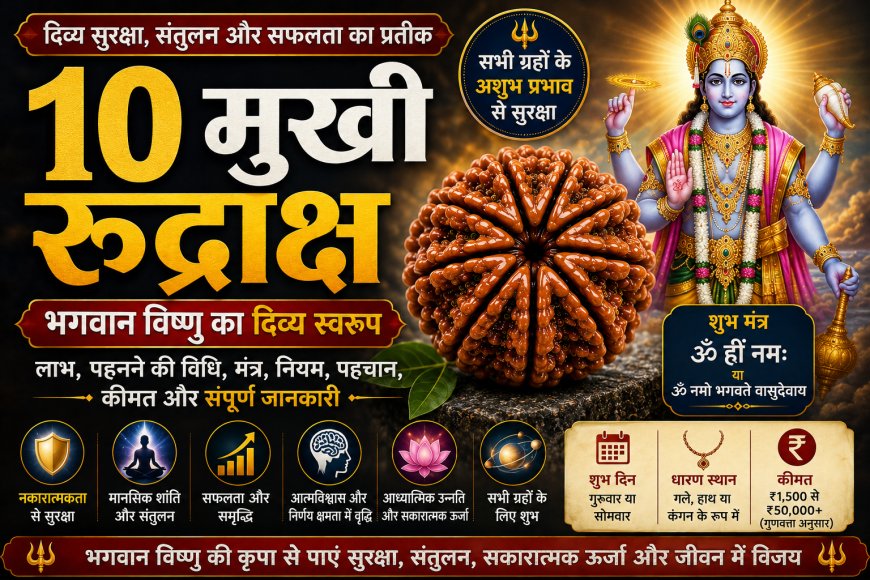 दस मुखी रुद्राक्ष (Das Mukhi Rudraksha): सम्पूर्ण जानकारी, लाभ, पहचान, धारण विधि, नियम, सावधानियां और आध्यात्मिक महत्व