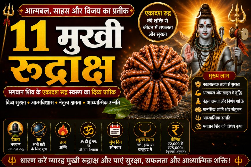 ग्यारह मुखी रुद्राक्ष (Gyarah Mukhi Rudraksha): सम्पूर्ण जानकारी, लाभ, पहचान, धारण विधि, नियम, सावधानियां और आध्यात्मिक महत्व