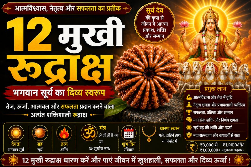 बारह मुखी रुद्राक्ष (Barah Mukhi Rudraksha): सम्पूर्ण जानकारी, लाभ, पहचान, धारण विधि, नियम, सावधानियां और आध्यात्मिक महत्व