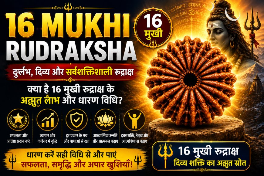 16 मुखी रुद्राक्ष के लाभ, महत्व और धारण विधि | Mahadevji.in