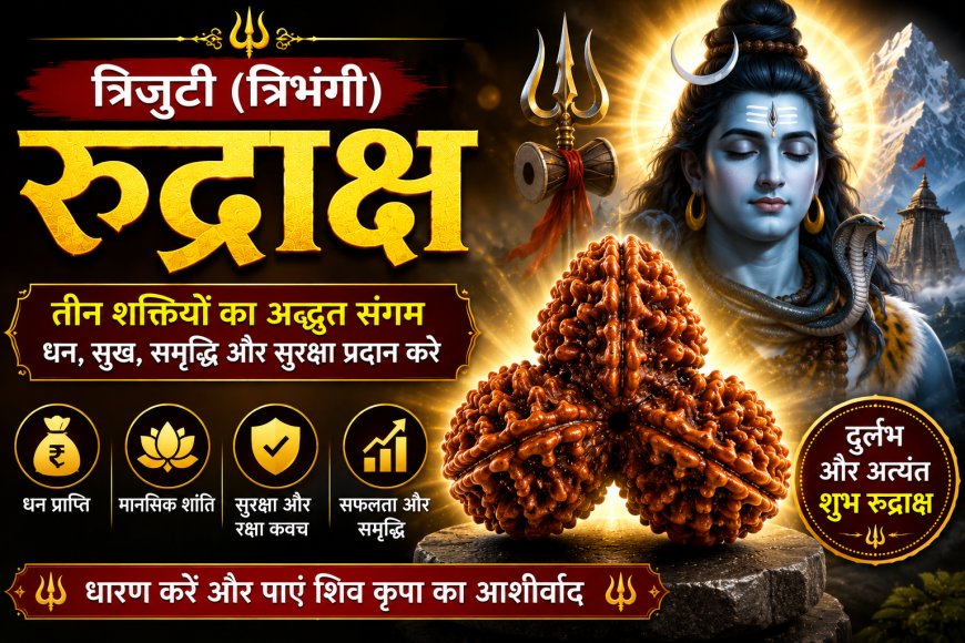 त्रिजुटी (त्रिभंगी) रुद्राक्ष के लाभ, महत्व और धारण विधि | Mahadevji.in