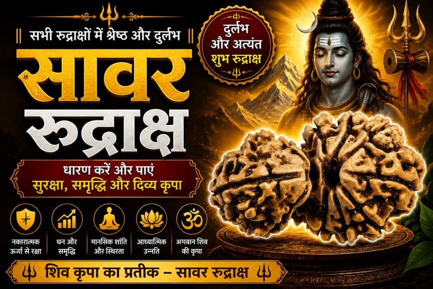 सावर रुद्राक्ष के लाभ, महत्व और धारण विधि | Mahadevji.in
